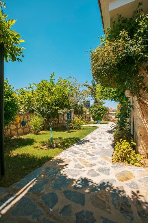 Dettaglio del giardino